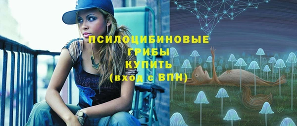 не бодяженный Алексин